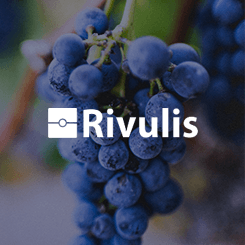 Rivulis hace más eficiente su logística automatizando la gestión de guías de despacho