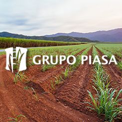 Grupo PIASA potencia su sistema SAP migrando a GCP