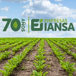 Empresas Iansa manages its securitized bond issuance process