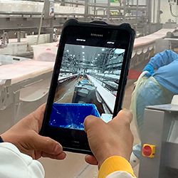 Agrosuper optimiza el proceso de calidad en plantas con SAP Fiori
