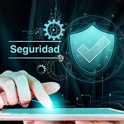 Secure Adoption of Enterprise AI Agents, Without Losing Freedom