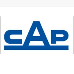 CAP logra gobierno SAP con servicio SAP AMS