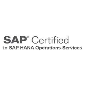 Novis certificado en SAP HANA Operations