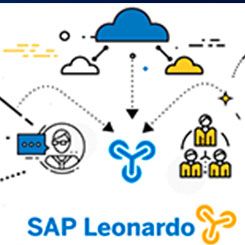 ¿Conoces SAP Leonardo?