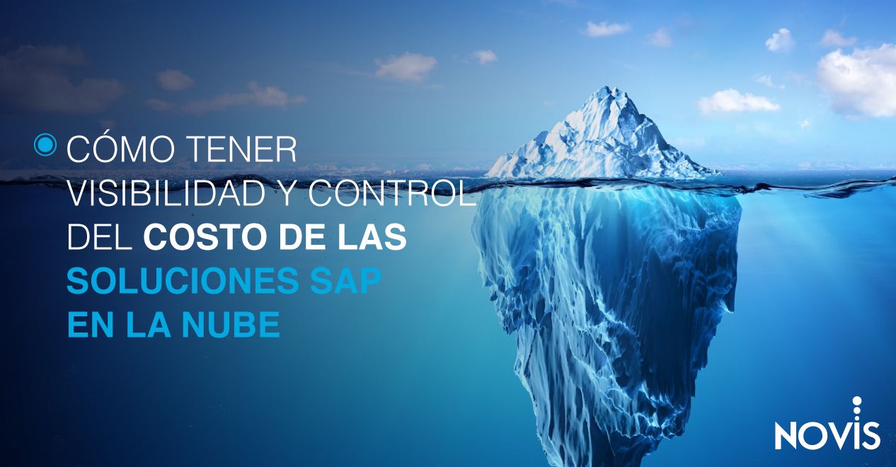 Control del costos de SAP en cloud